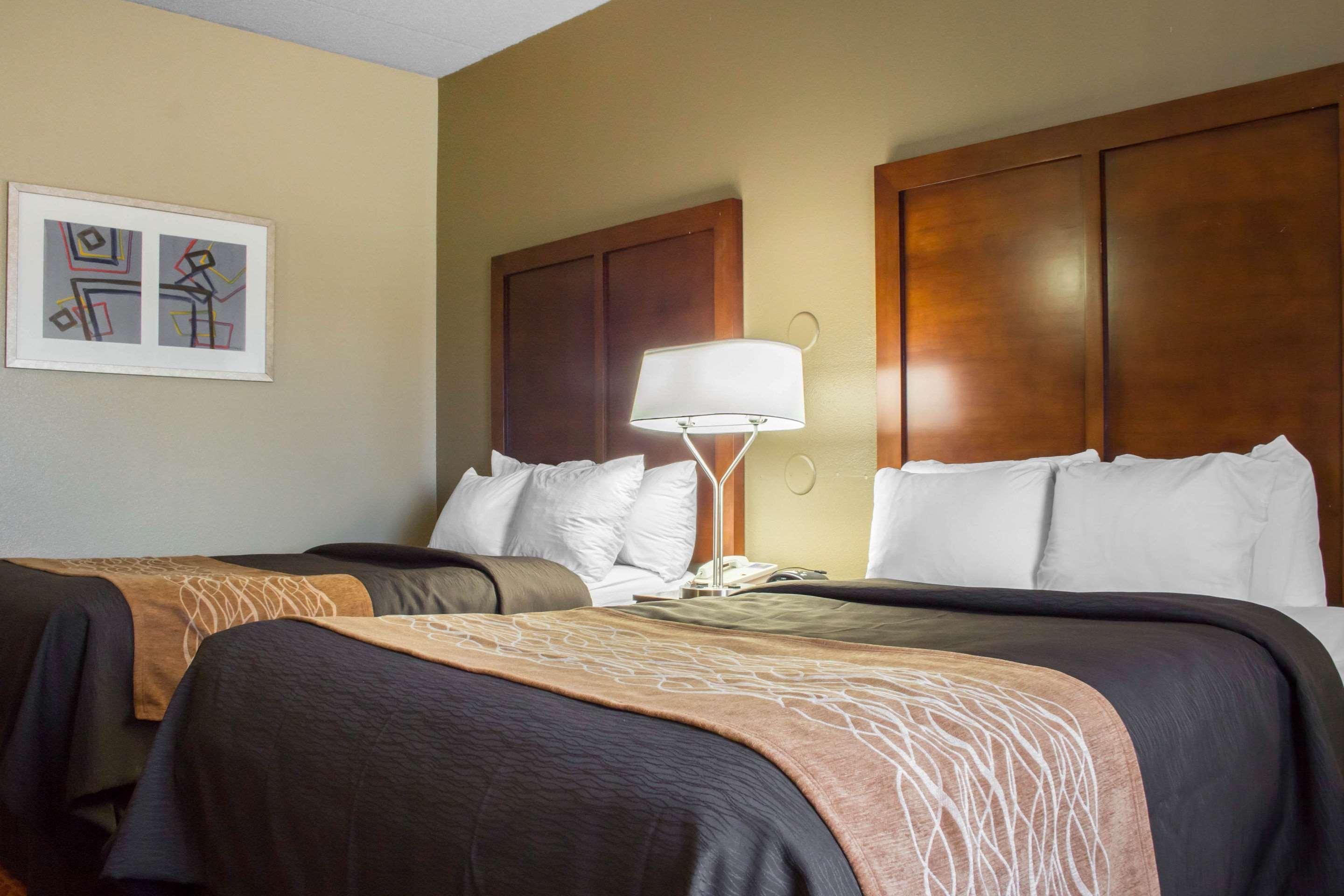 Hotel Comfort & Near Kino Sports Complex